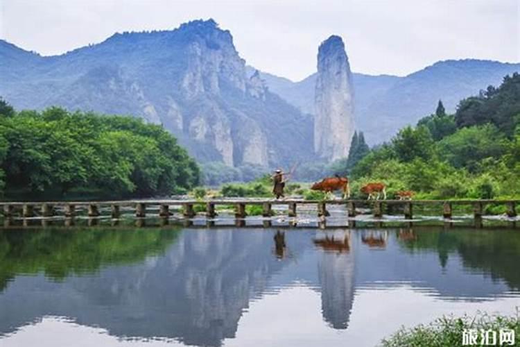丽水冬至吃什么