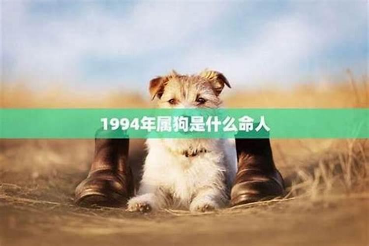 1994年农历10初1是什么星座