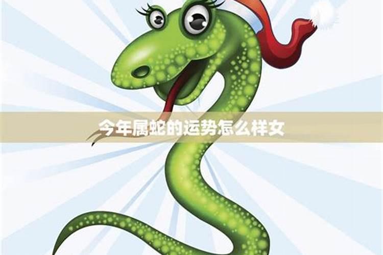 属蛇人2025年运势详解