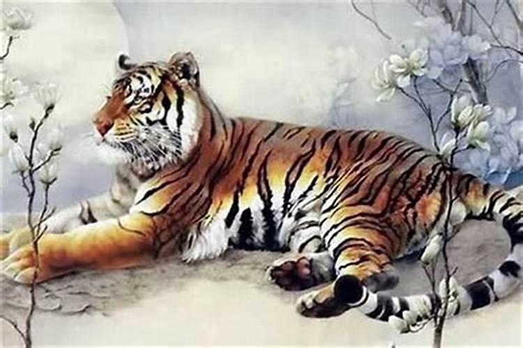 十二月二十日是什么星座