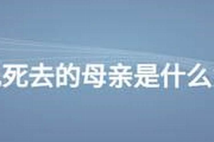 梦见死去的母亲是什么预兆