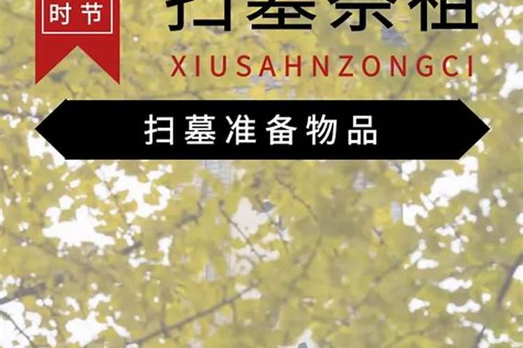 写一篇600字关于清明的作文,不要太高深,要平庸的一篇记叙文