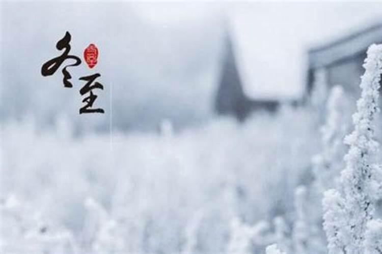 “换花草”真的能改变胎儿性别么,贵州占里男女比例因何数十年来始终平 ...