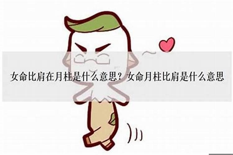 2001年出生是属什么生肖？