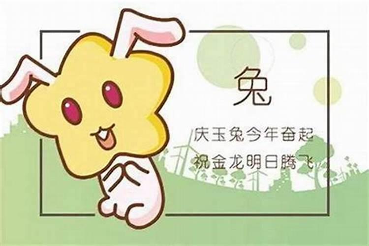1975属兔2024年的运势及每月运程