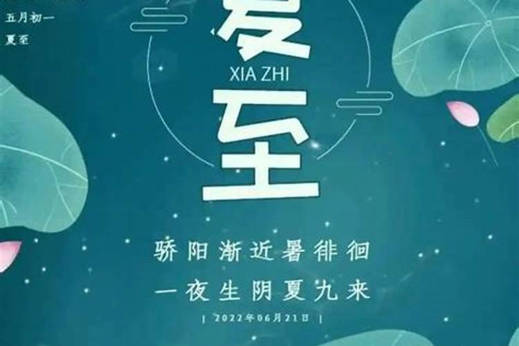 属马不宜养什么生肖马最不适宜养什么宠物