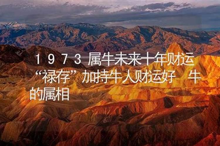 1973属牛2025年的运势及运程