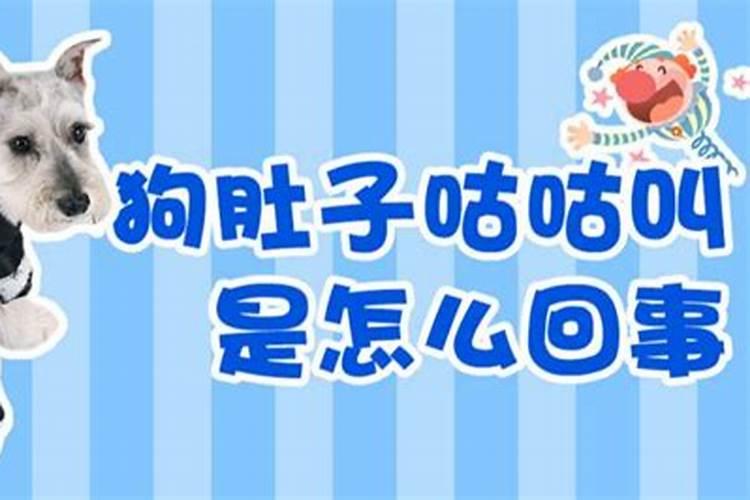 水瓶座女表白情话