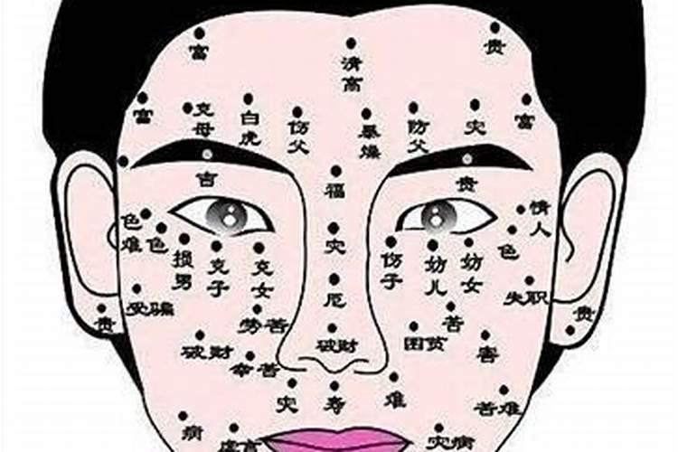 双童子有什么特殊点