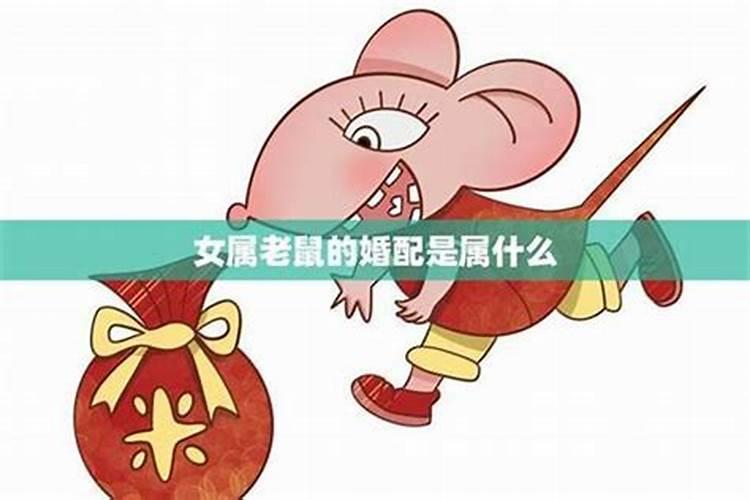 男兔女龙的婚姻能长久吗？感情有摩擦婚姻难以维系
