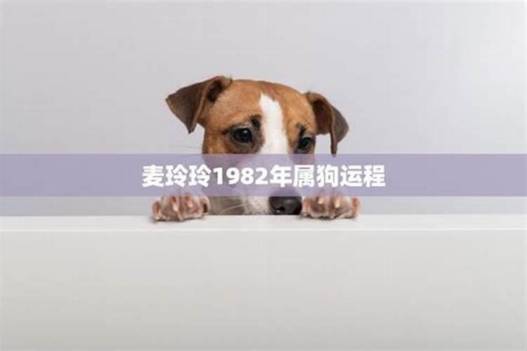 我生日1982年农历7月初8各位大仙能否帮忙算算今年的运程