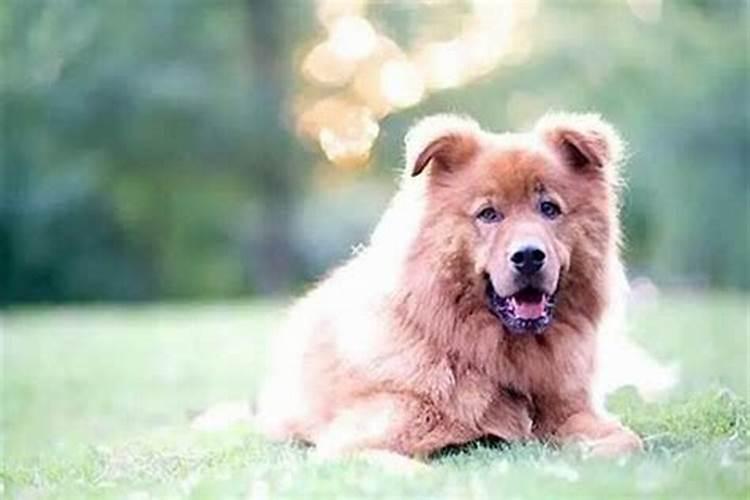 孕妇梦见下雨骑车是什么意思？