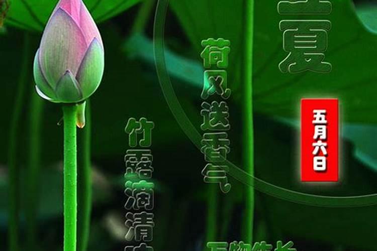 65年蛇人在2025年的运程