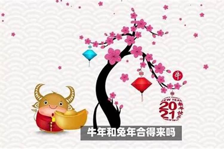 48岁属虎本命年要注意什么 属虎48岁本命年要注意什么