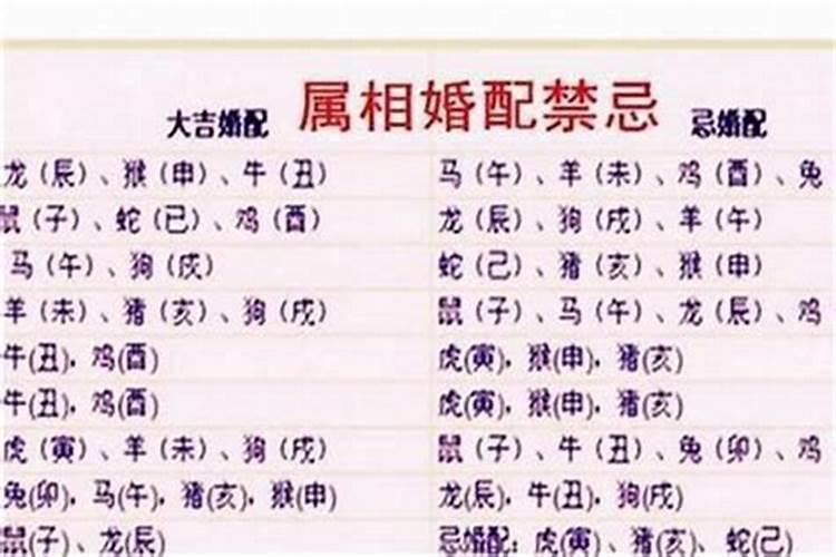 十二生肖的属相婚配表