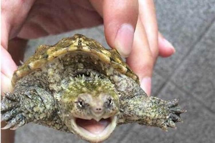 梦见自己已死的外公的预兆