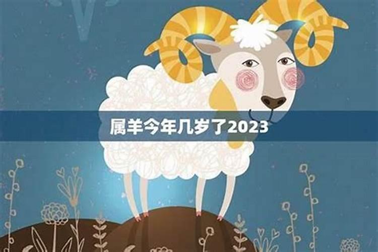 我是91年旧历正月初五晚上11点05分出生,属羊。想让高人算算健康,事业...
