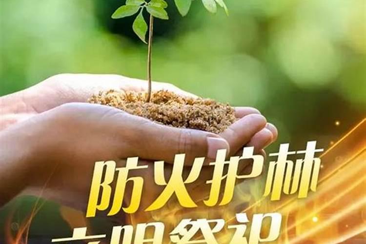 晚上可以拜年吗？？？