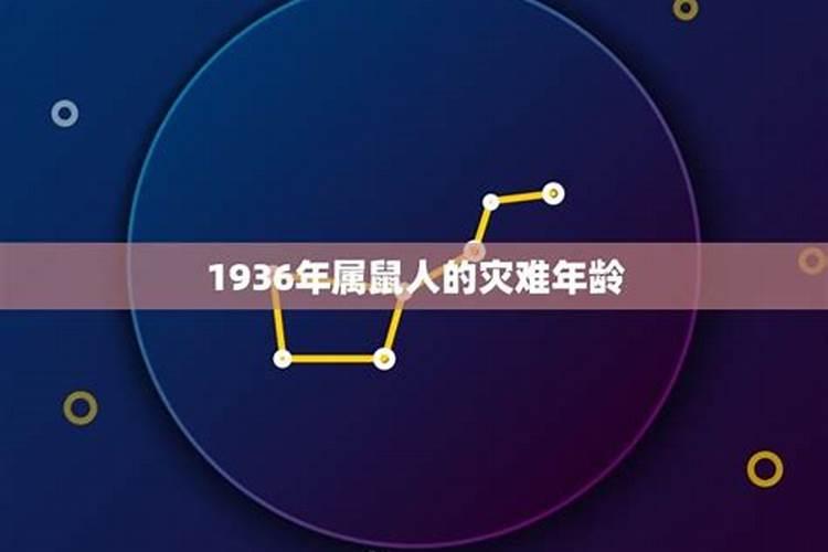1936年的属鼠人一生财运如何？