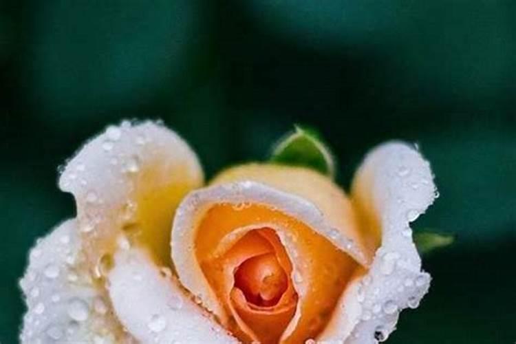 闽南“普度”节简介