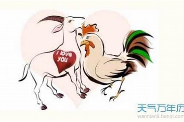 属鸡的1996年运势分析