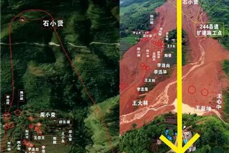 哪个生肖带金字