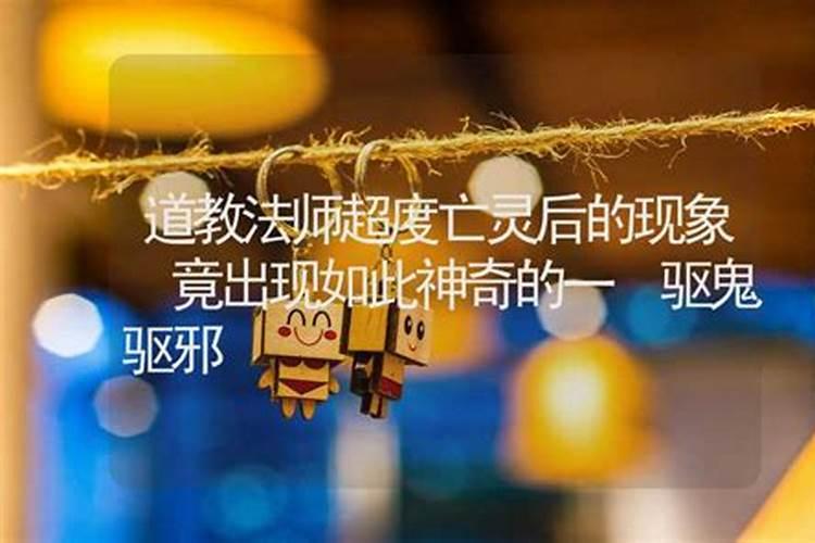 金字可以关联到那个生肖