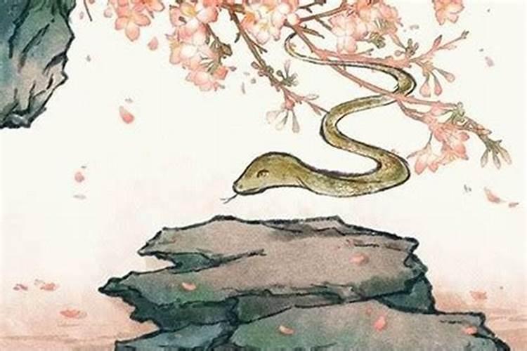 请高人指点,母子八字是否不合,该怎么化解？是否会分离？