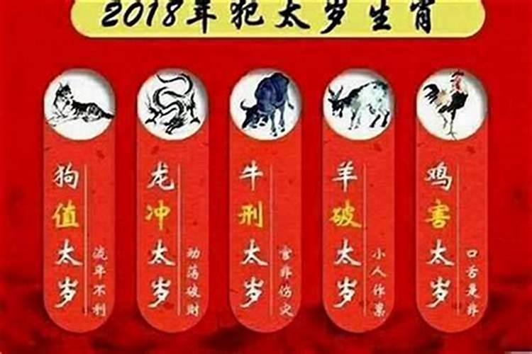 属猪的人犯太岁一览表,属猪人犯太岁年份