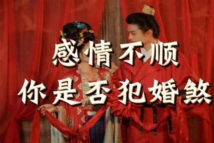 什么是假花姐？