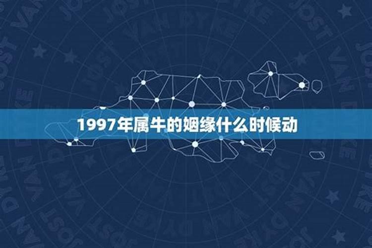 85年牛女2025年运势及每月的运程