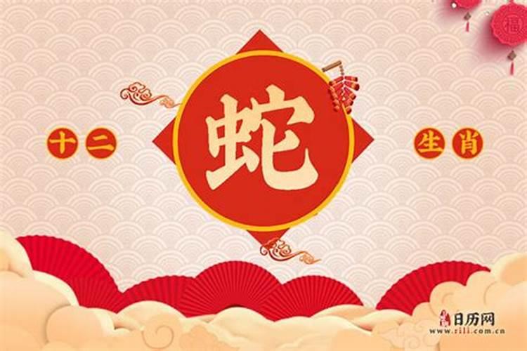 2025年属什么生肖2025年属哪个生肖