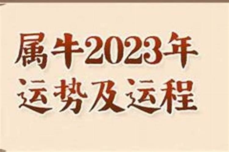 73年属牛人2025年每月的运势及运程