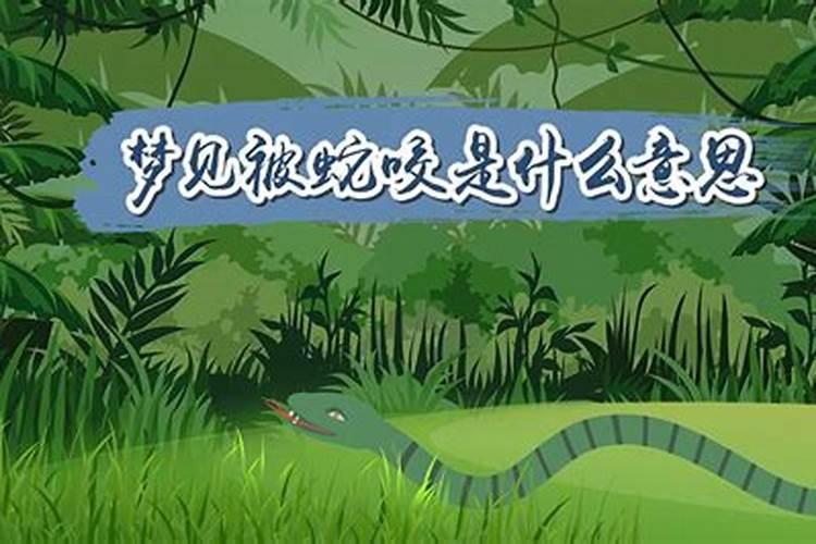 2020属鼠本命年犯小人吗,要怎么样化解？