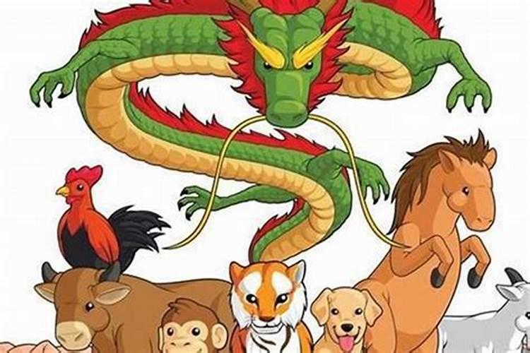 属猪的人犯太岁一览表,属猪人犯太岁年份