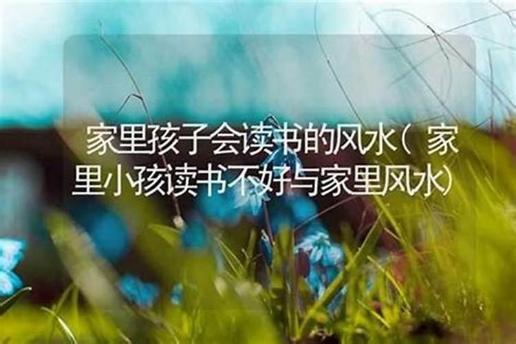犯太岁要注意什么事项