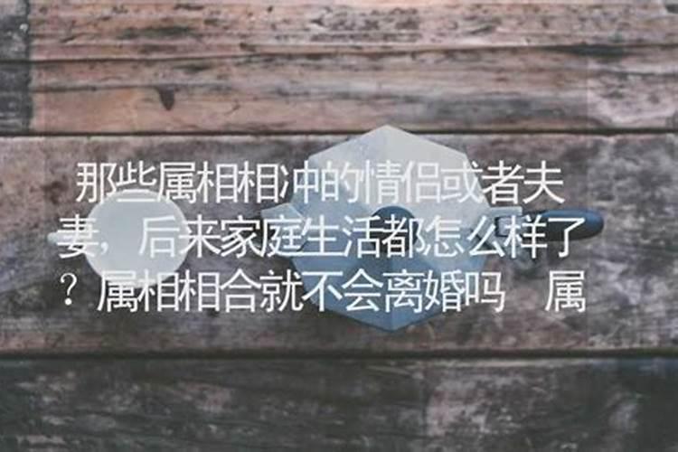 为什么属相相合也离婚了