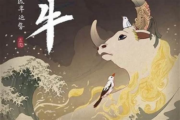算算命 85年的命运如何(把所有积蓄都拿出来了)