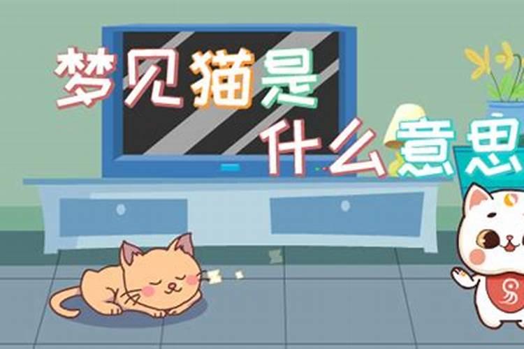 武胜晚上好耍的地方 武胜有什么好耍的地方