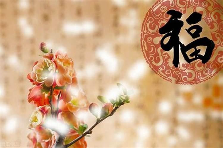 83年属猪2025年最旺盛的一年