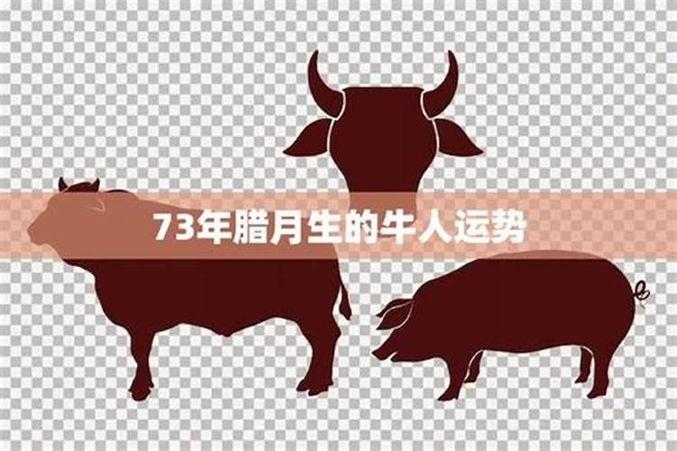 2025属蛇本命年可以结婚吗