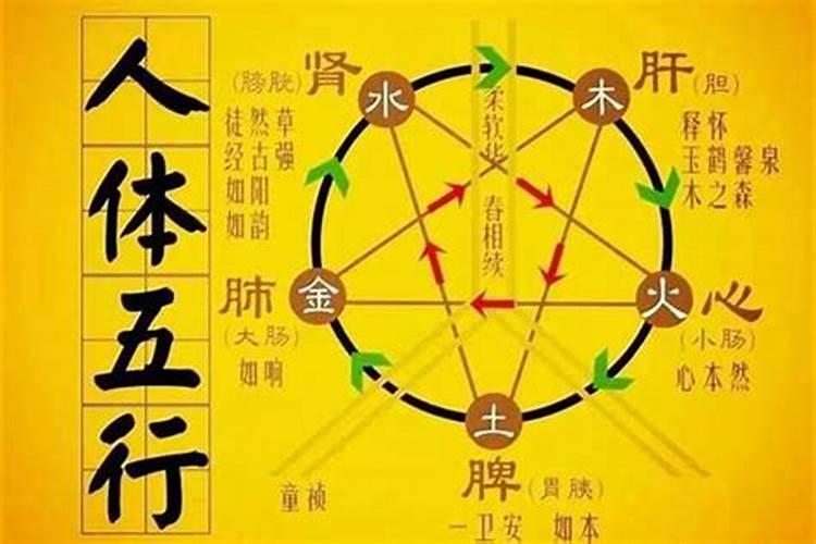 属虎本命年注意