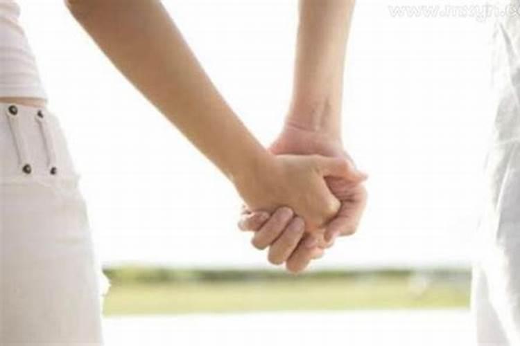 属狗一生命运如何 82属狗人的灾难年龄