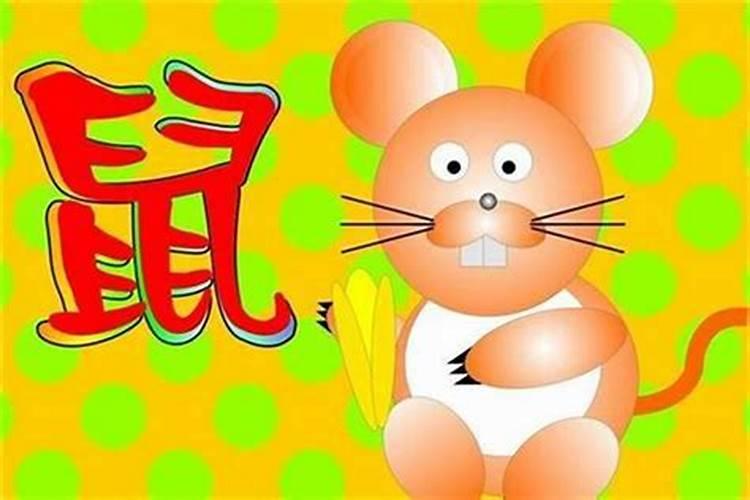鼠年哪月出生的孩子比较好？
