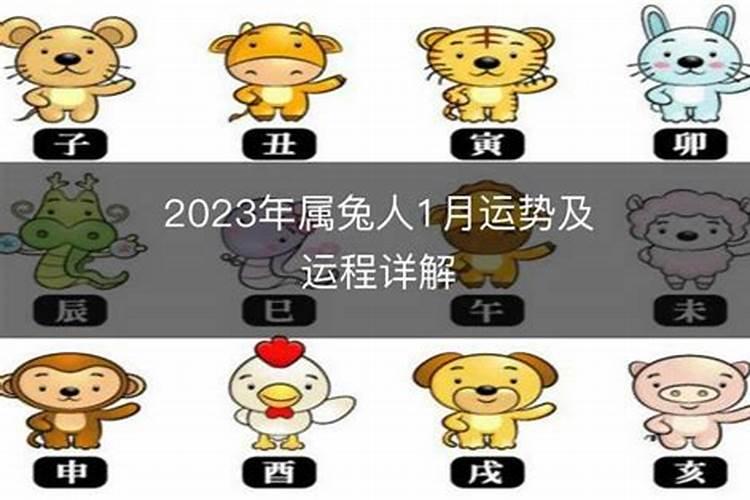 75年属兔人2024年运势运程每月运程