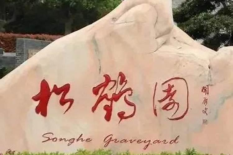 上海冬至扫墓开车怎么去