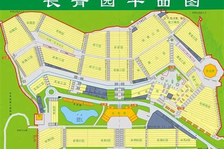 2019上海冬至扫墓开车怎么去