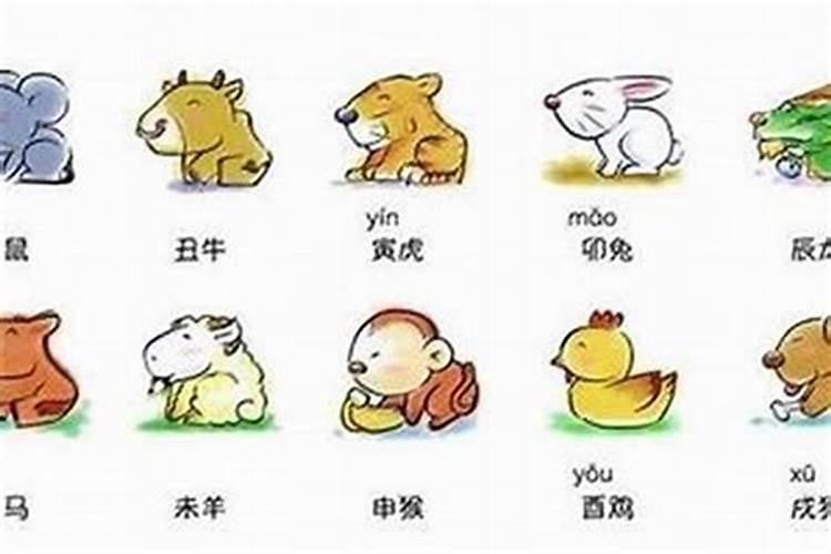 1999年属兔男婚配表,1999年兔男和什么属相最合适