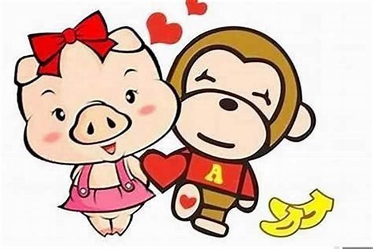 属猪和属猴的婚姻相配吗 属猪的和属猴的婚姻好不好