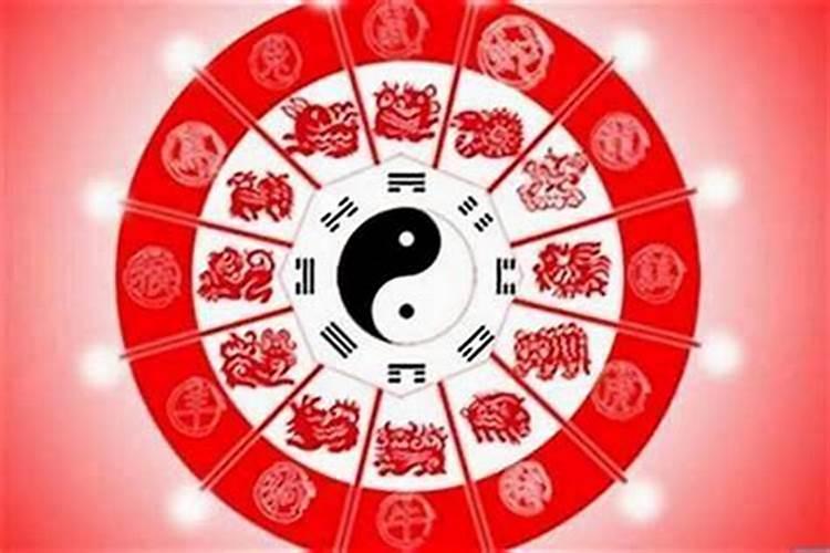 几月份的虎宝宝最好
